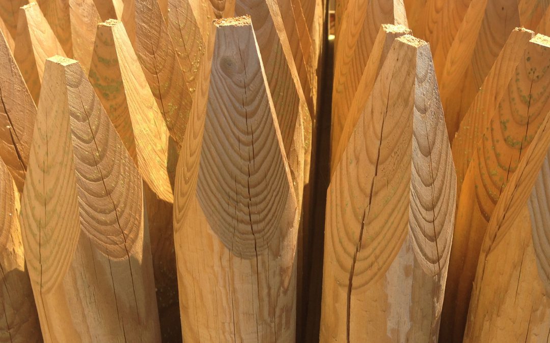 Pali in legno