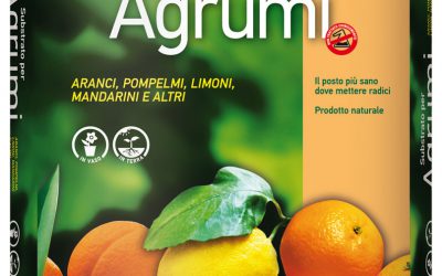 Terriccio per agrumi