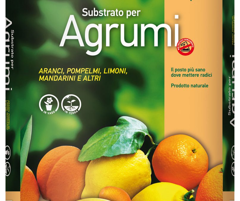 Terriccio per agrumi