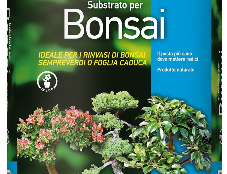 Terriccio per bonsai