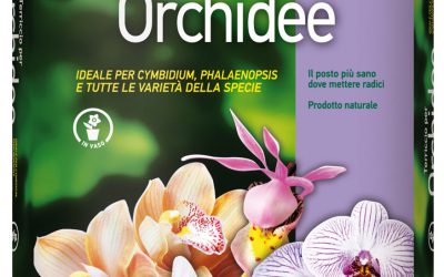 Terriccio per orchidee