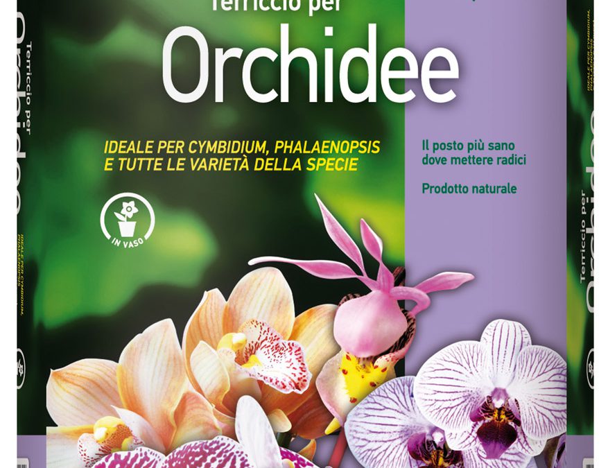 Terriccio per orchidee