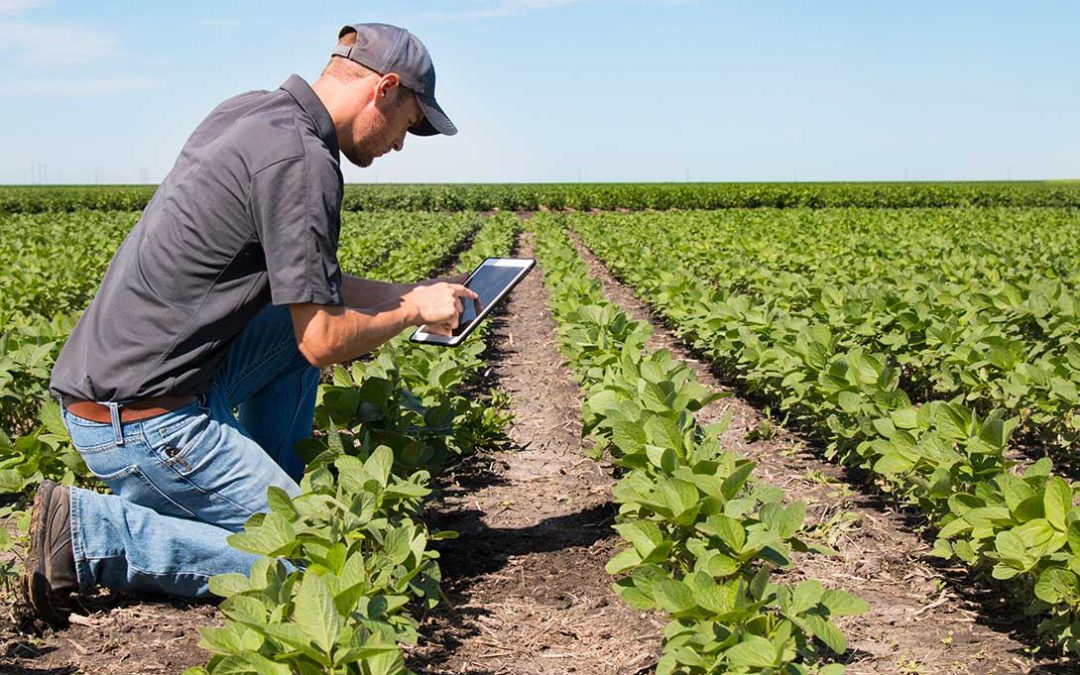 servizio assistenza tecnica agricola