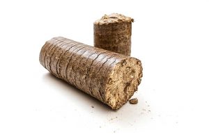 tronchetti latifoglie